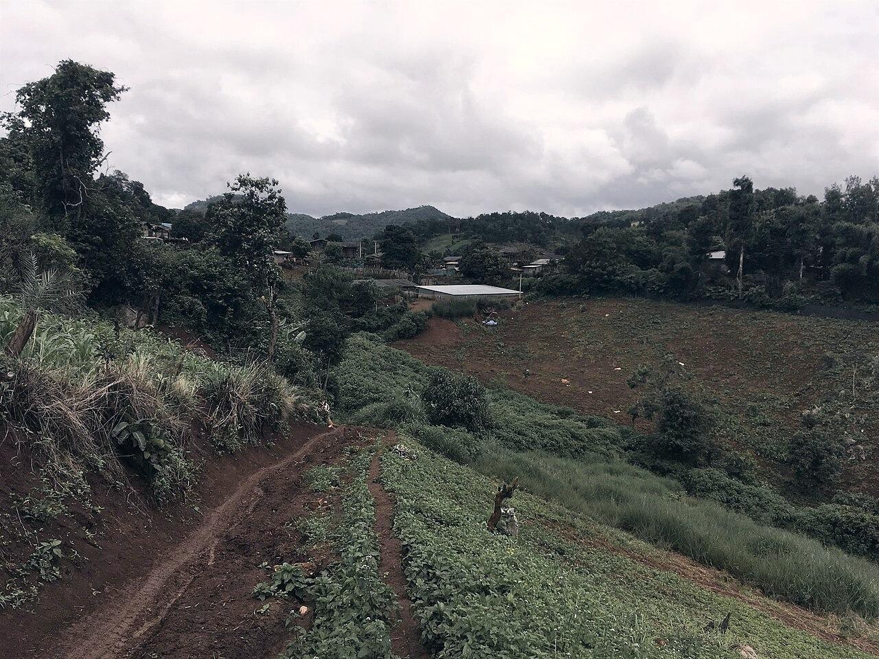 Mae Lana Organic Tea House