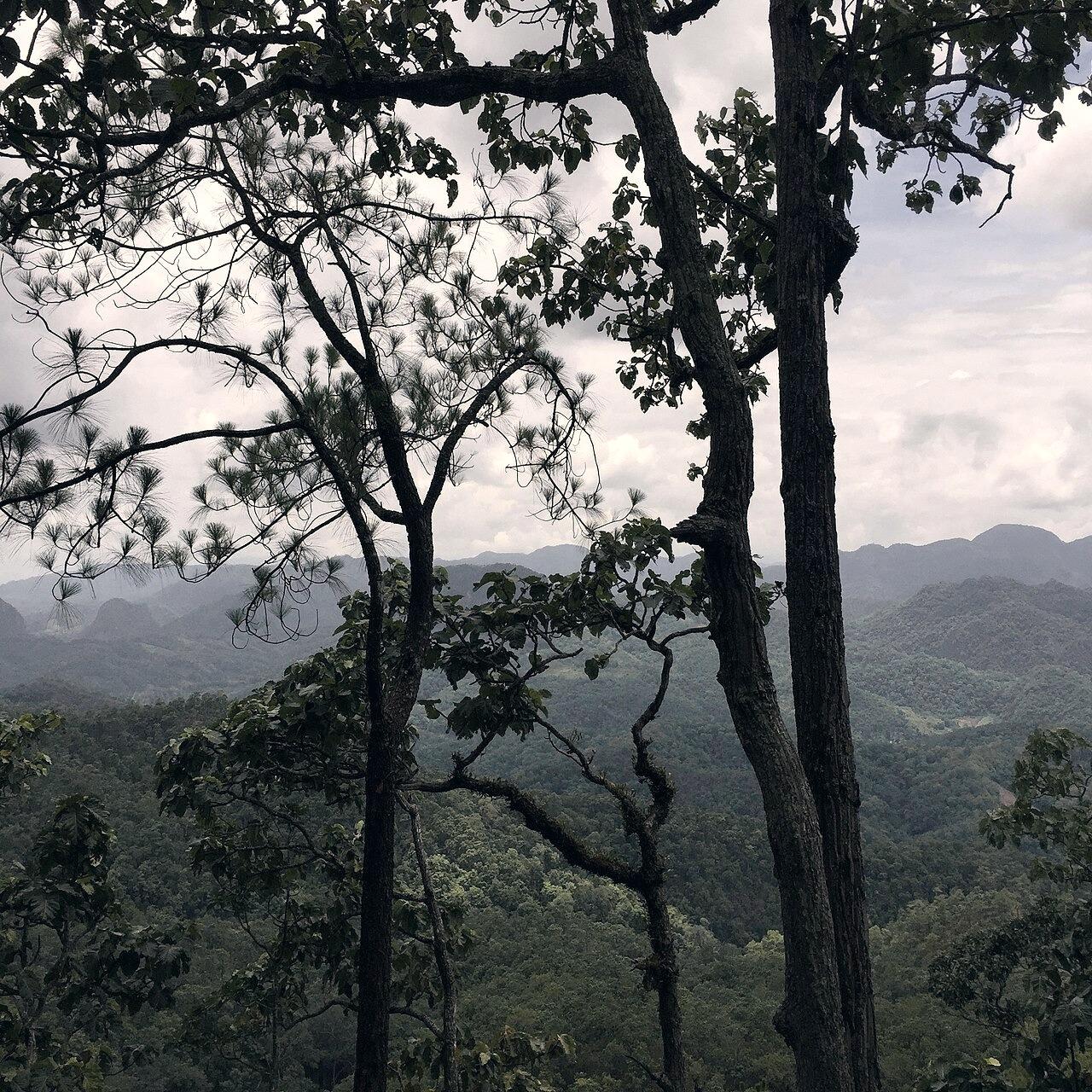 Pang Mapha or Pai: Which Place Fits Your Trip?