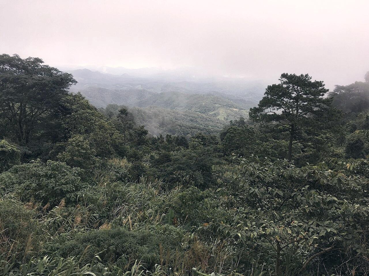 Forests and mountains surrounding Soppong in Pang Mapha